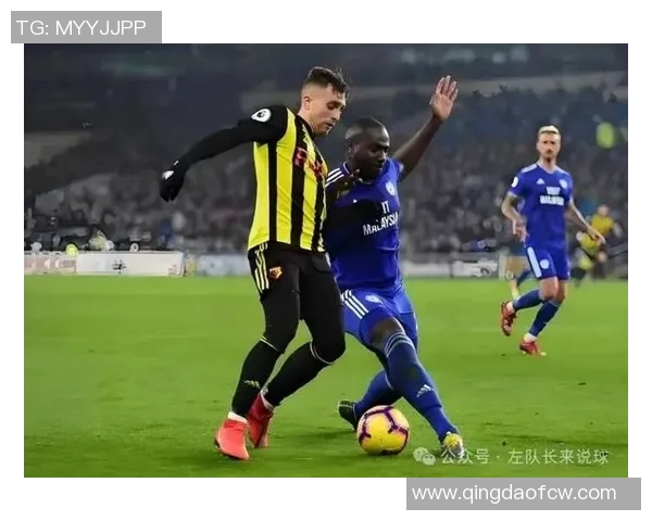 布伦特福德主场迎战伊普斯维奇期待精彩对决与进球盛宴 布伦特福德主场迎战伊普斯维奇期待精彩对决与进球盛宴