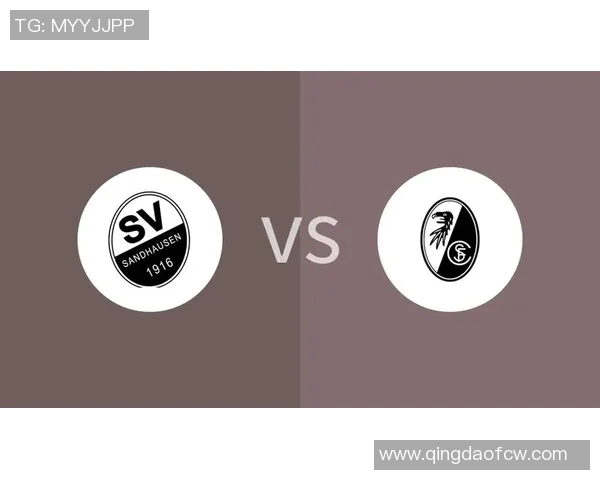 汉堡队与桑德豪森的较量分析及比赛前瞻展望