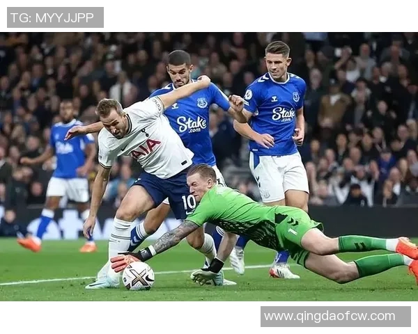 热刺对阵埃弗顿精彩直播平台全方位解析与观赛指南