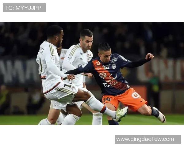 甘冈与尼姆激战在即谁能在法乙赛场上笑到最后