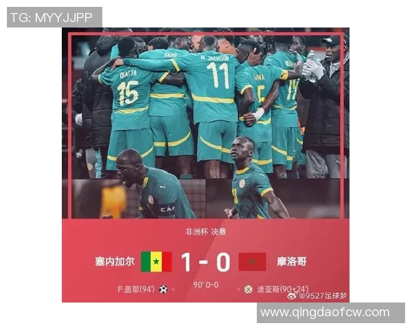 南非与塞内加尔激战正酣谁将赢得这场非洲足球盛宴