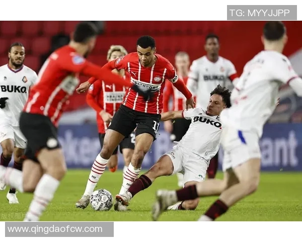 拉古纳与墨美洲的激烈对决谁能在这场比赛中笑到最后 拉古纳与墨美洲的激烈对决谁能在这场比赛中笑到最后