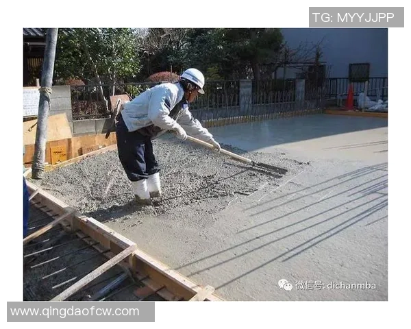 杭州滑板队灵活性表现数据分析与提升策略探讨MBA 杭州滑板队灵活性表现数据分析与提升策略探讨MBA