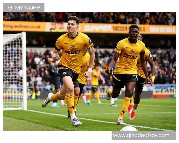 狼队与南安普顿对决前瞻分析及赛果预测,谁将赢得关键三分 狼队与南安普顿对决前瞻分析及赛果预测,谁将赢得关键三分