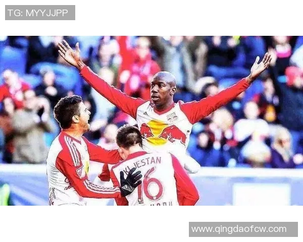 纽约红牛对阵哥伦布精彩直播全程回顾与赛后分析 纽约红牛对阵哥伦布精彩直播全程回顾与赛后分析