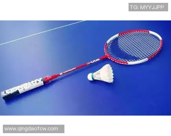 羽毛球深度探讨：西安羽毛球队的战术布局与发展策略解析