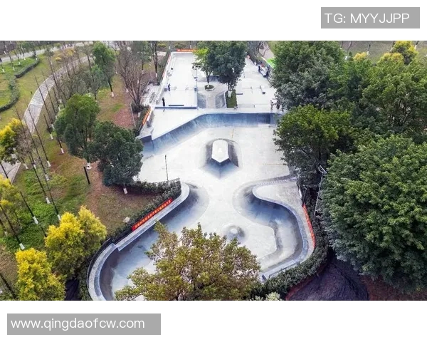 滑板之旅：深入重庆滑板队的默契与协作精神探讨