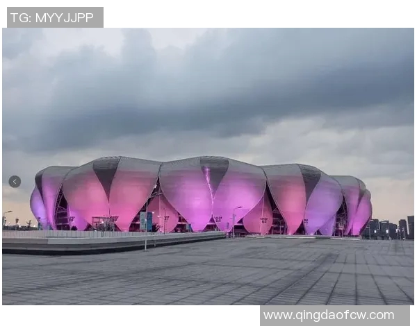 杭州羽毛球队转型之路揭秘：从传统强队到现代化竞技新标杆